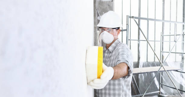 Why You Should Choose Our Mold Remediation Services in North Tunica, MS